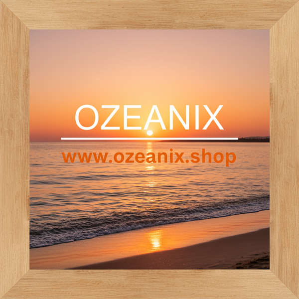 ozeanix.shop